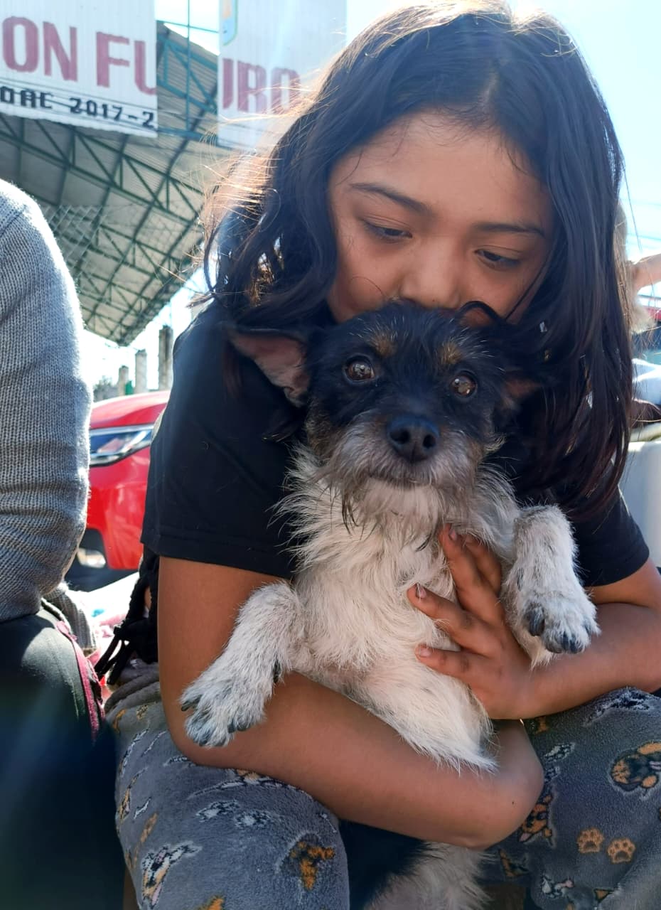 Campaña gratuita de esterilización en Chiautempan